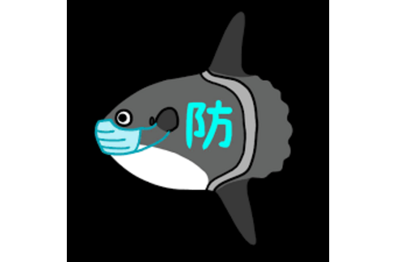 マンボウ